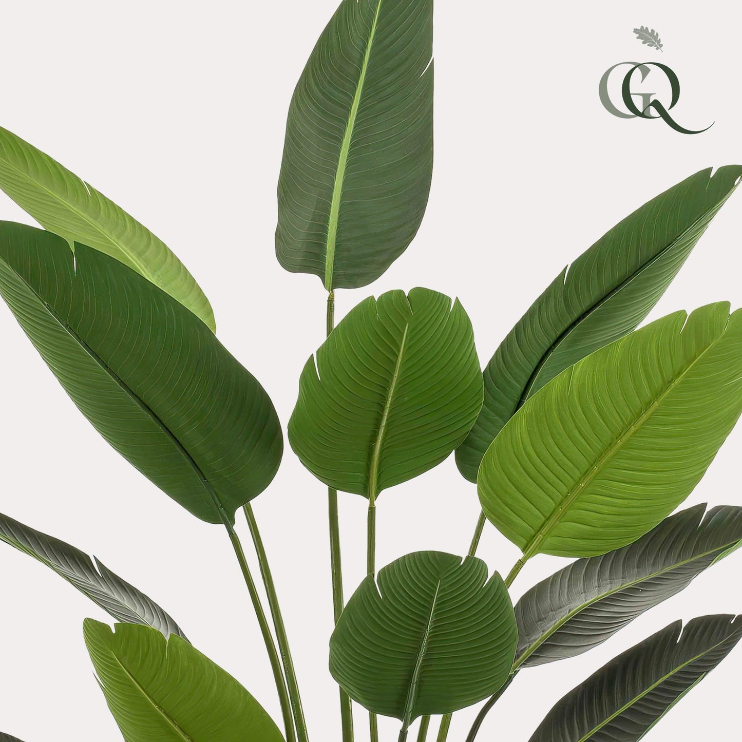 Artificial plant - Strelitzia Nicolai - Bird of Paradise flower - 190 cm