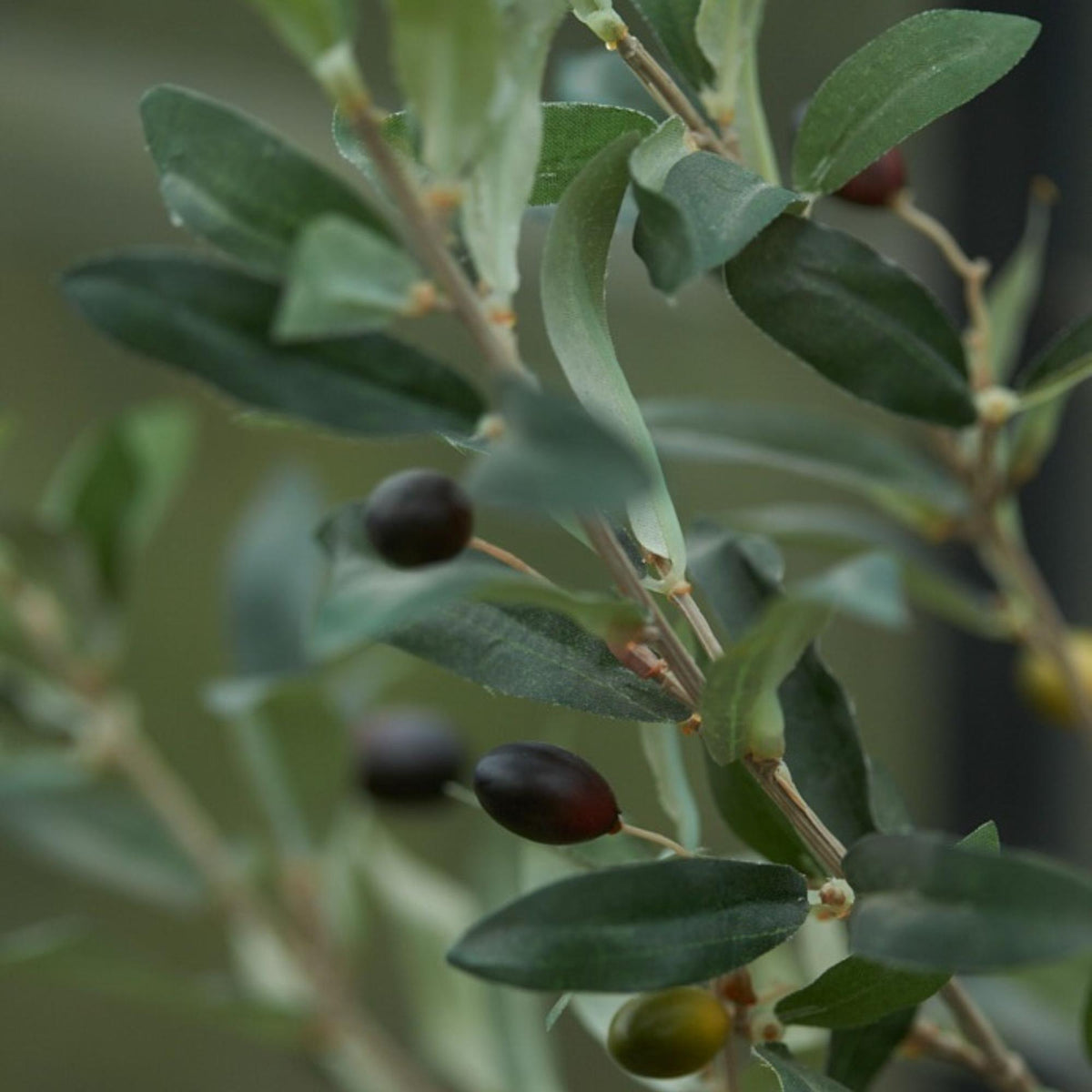 Künstlicher Olivenbaum im Topf – 65 cm