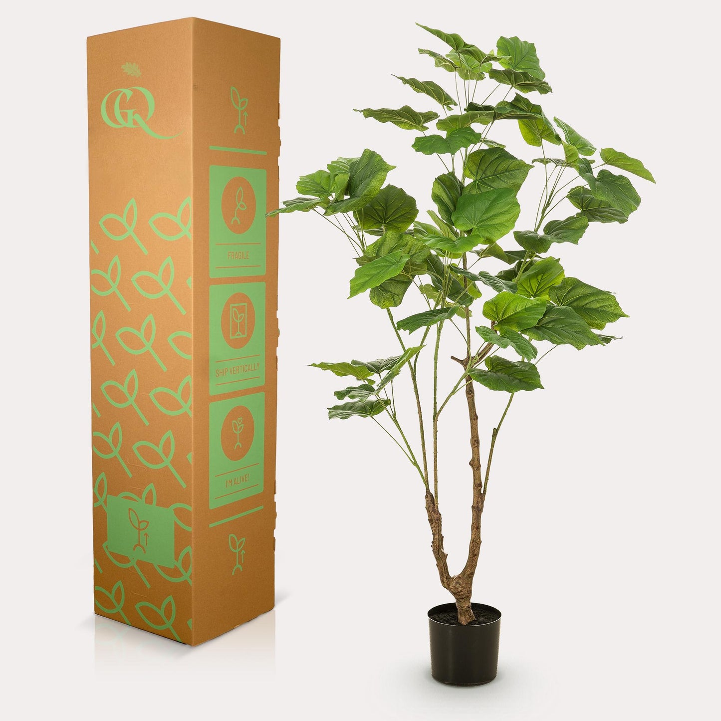 Pianta artificiale - Ficus umbellate - Fico africano - 125cm