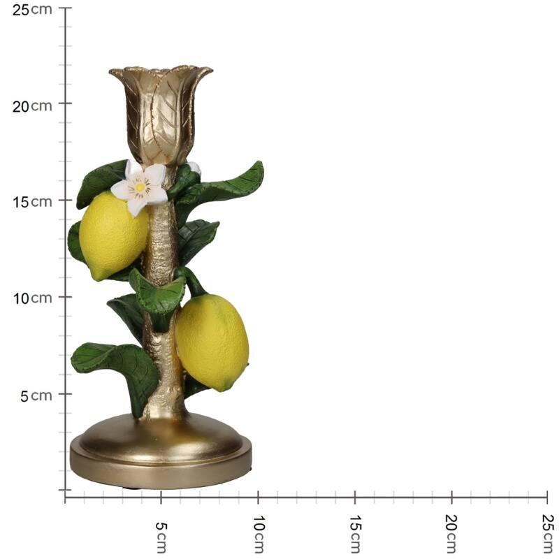 Candlestick with Lemon Plant - ↑ 22 cm