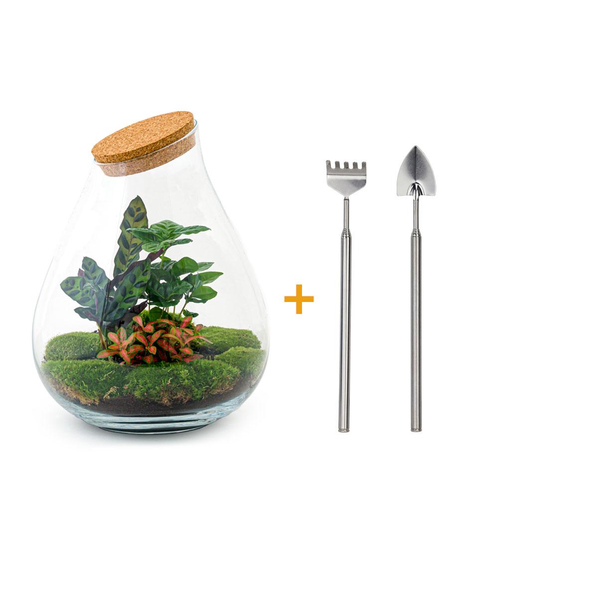 DIY terrarium - Drop XL Red - ↕ 37 cm - Rake + Shovel