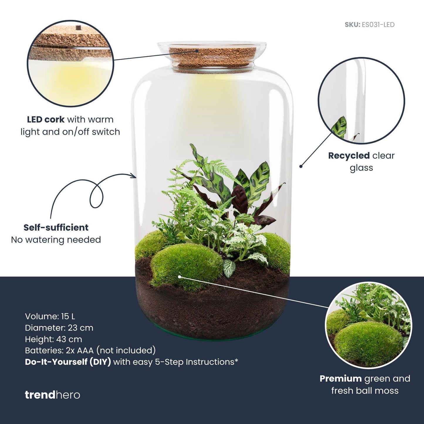 DIY Plant terrarium with light - Sven XL Botanical - Ø 23 cm ↑ 43 cm - No tools