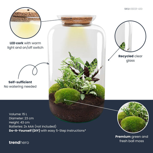 DIY Plant terrarium with light - Sven XL Botanical - Ø 23 cm ↑ 43 cm - No tools