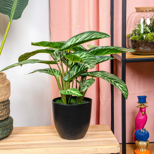 Calathea Zebrina artificiel en pot noir – 42 cm