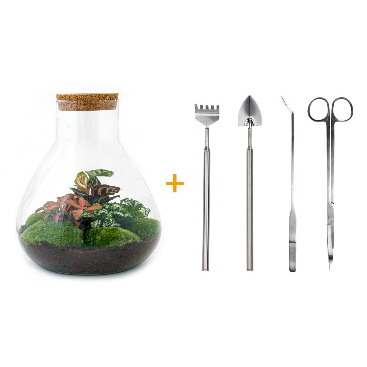 DIY Plant Terrarium with Light - Sam XL Red - Ø 30 cm ↑ 32 cm - Rake + Shovel + Tweezer + Scissors