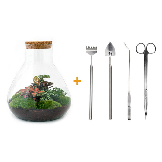 DIY Plant Terrarium with Light - Sam XL Red - Ø 30 cm ↑ 32 cm - Rake + Shovel + Tweezer + Scissors