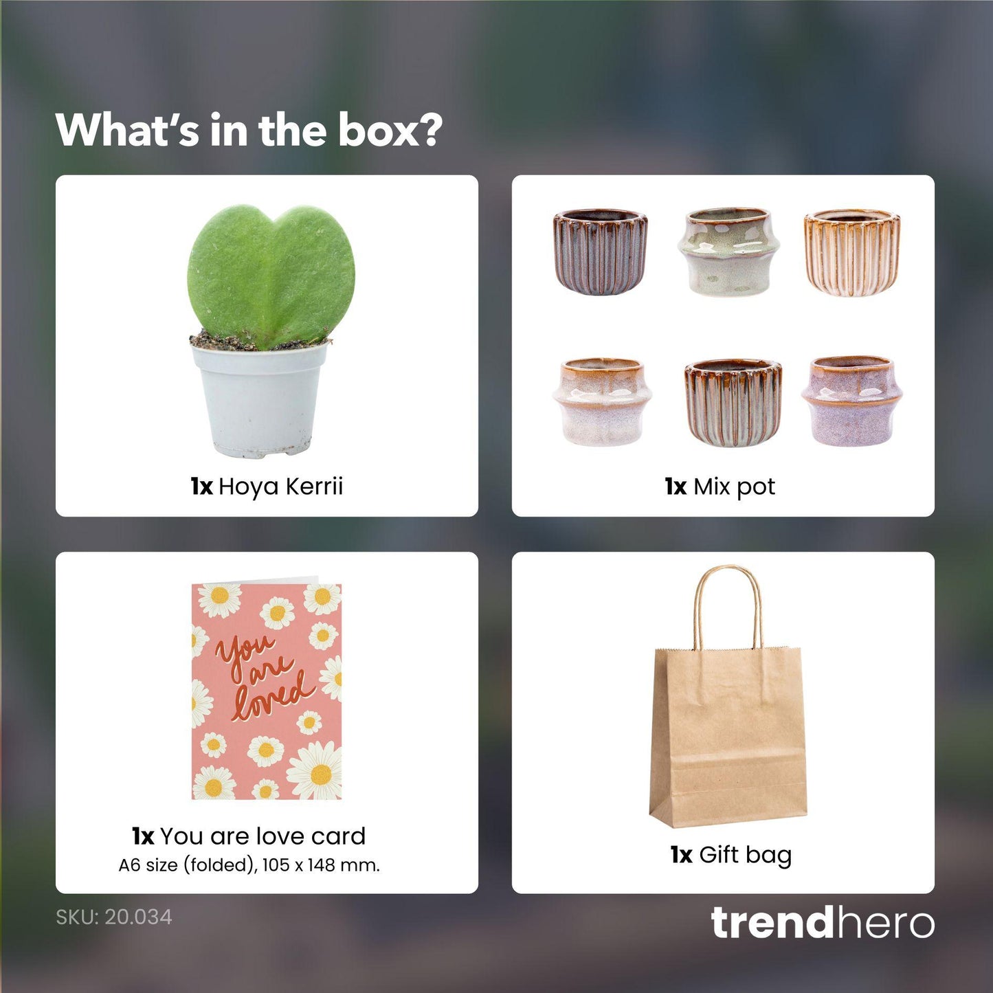 Cadeauset - Love Set - Hartjesplant, pot, wenskaart & geschenktasje