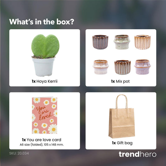 Cadeauset - Love Set - Hartjesplant, pot, wenskaart & geschenktasje