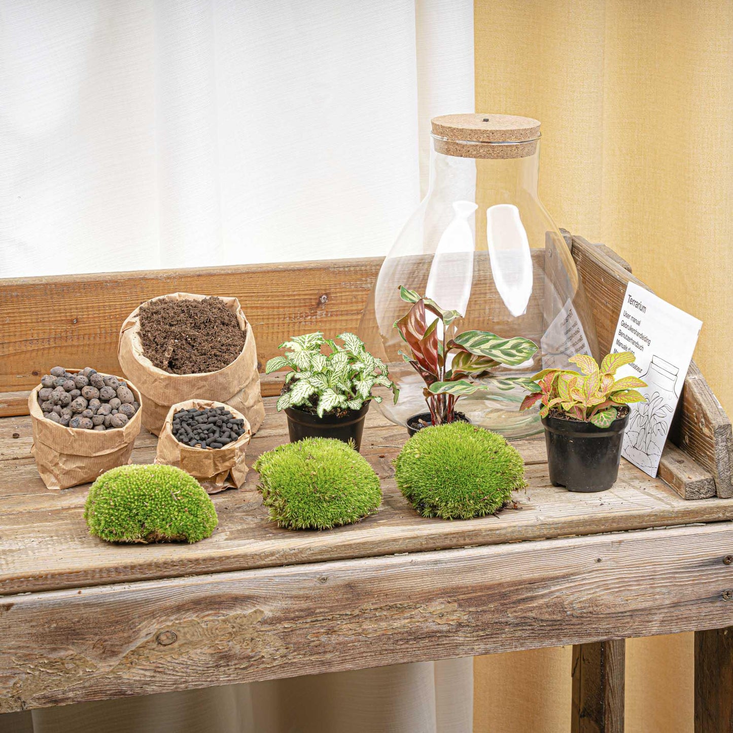 DIY Plant terrarium with light - Sam XL Red - Ø 30 cm ↑ 32 cm - No tools