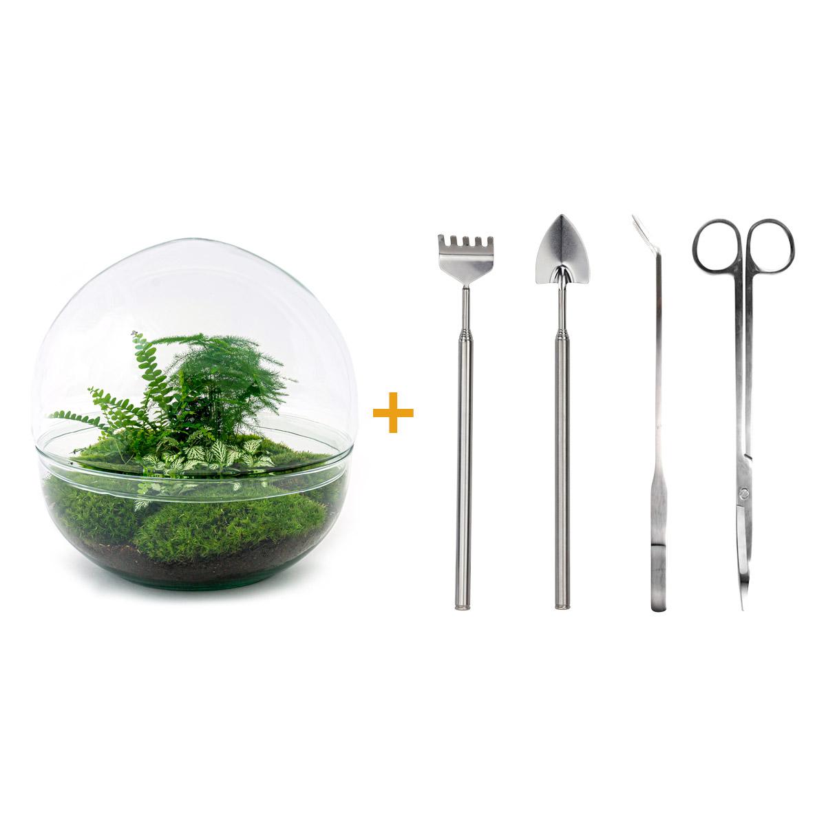 DIY Plant terrarium two-piece glass dome - Dome XL -Ø 28 cm ↑ 28 cm - Rake + Shovel + Tweezer + Scissors