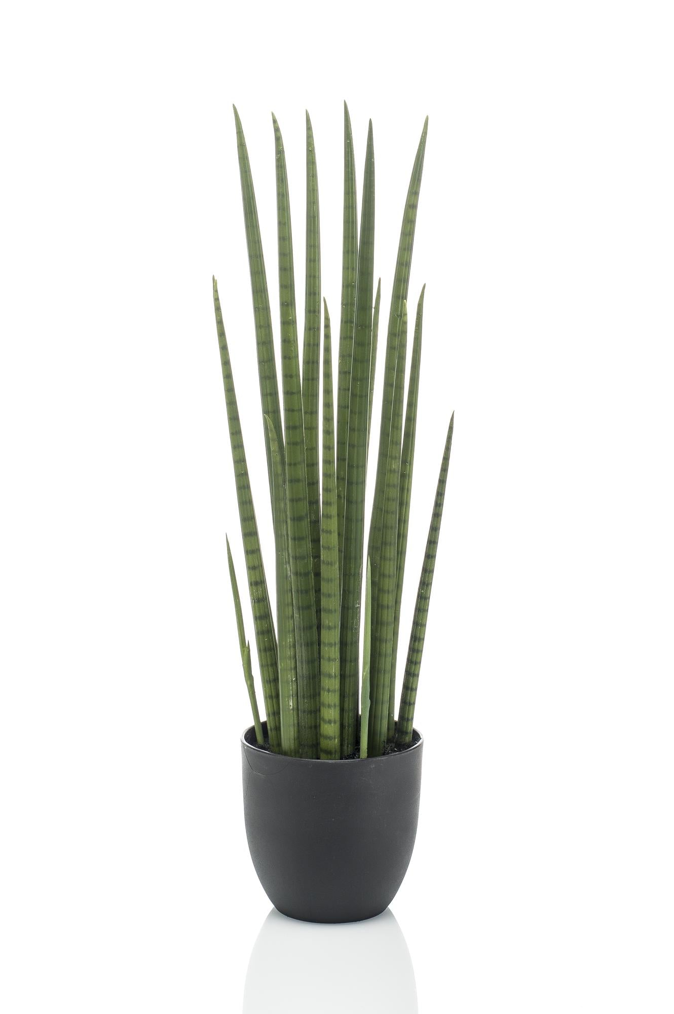 Artificial plant - Sanseveria Cylindrica - Mother-in-law's tongue - 70 cm