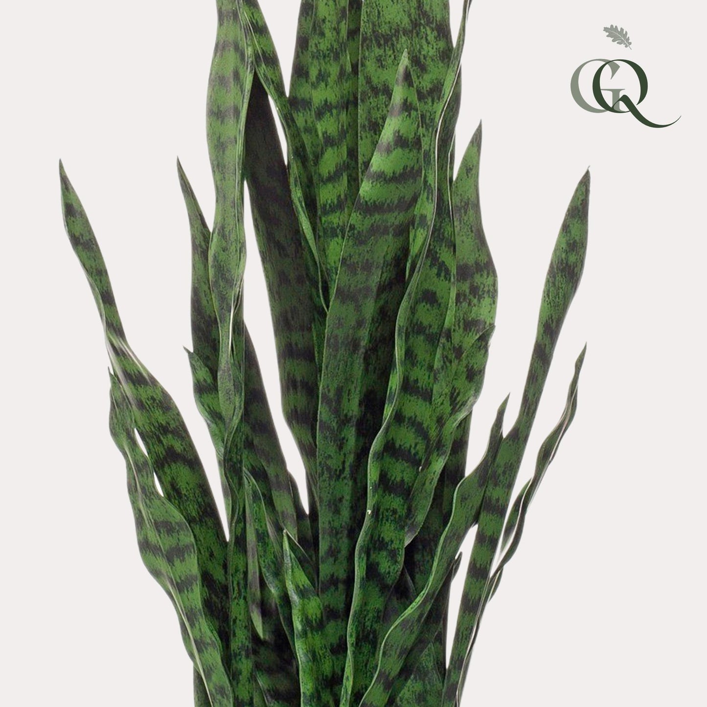 Artificial plant - Sanseveria black coral - Mother-in-law's tongue - 97 cm