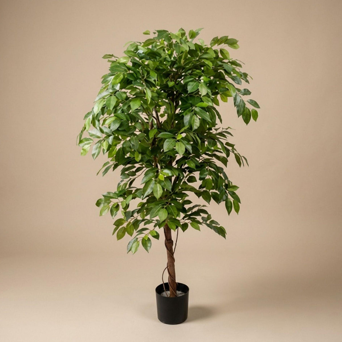 Ficus Deluxe Vine artificiel – 140 cm