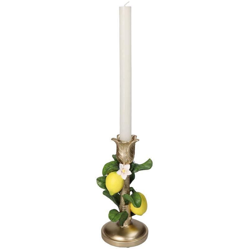 Candlestick with Lemon Plant - ↑ 22 cm