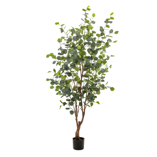 Pianta artificiale - Eucalipto - Gomma blu - 140 cm