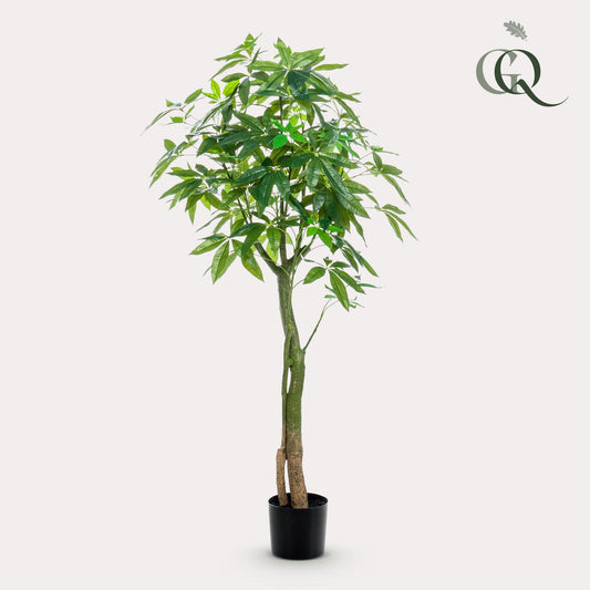 Artificial plant - Pachira Aquatica - Money tree - 150 cm