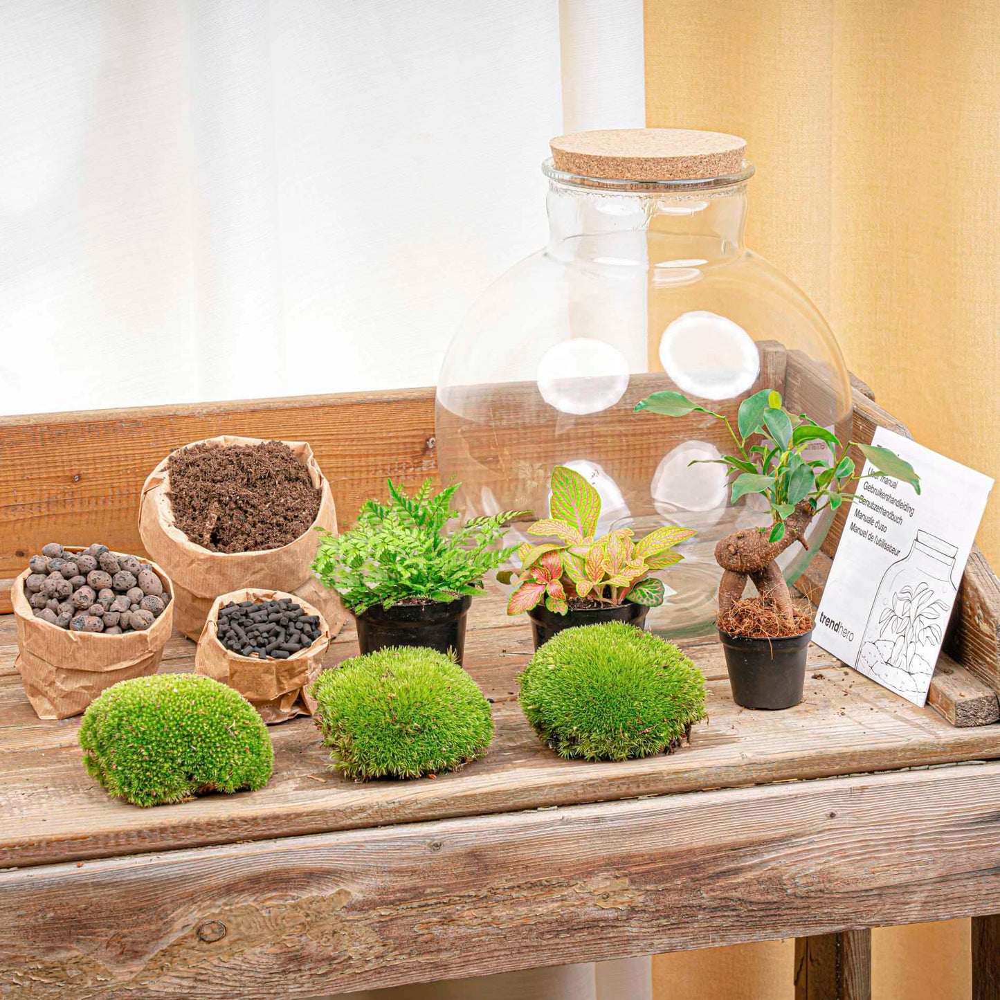 DIY Plant terrarium - Bolder Bob Bonsai - Ø 31 cm ↑ 30 cm - Rake + Shovel + Tweezer + Scissors