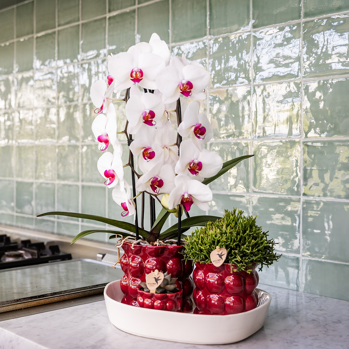Hummingbird Home | Cotton Shine decorative pot - Red - Ø12cm