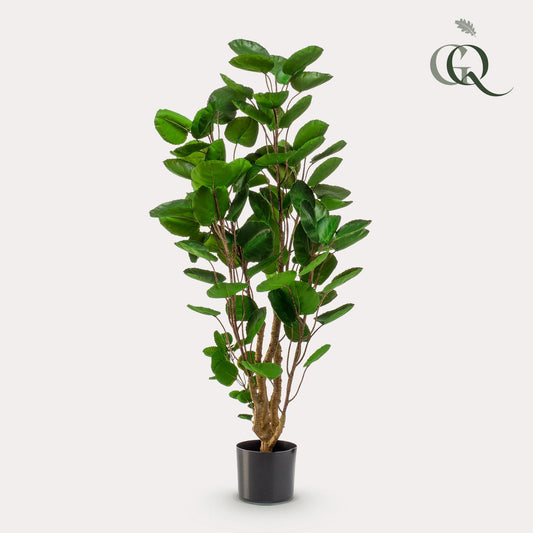 Pianta artificiale - Polyscias - Aralia - 105 cm