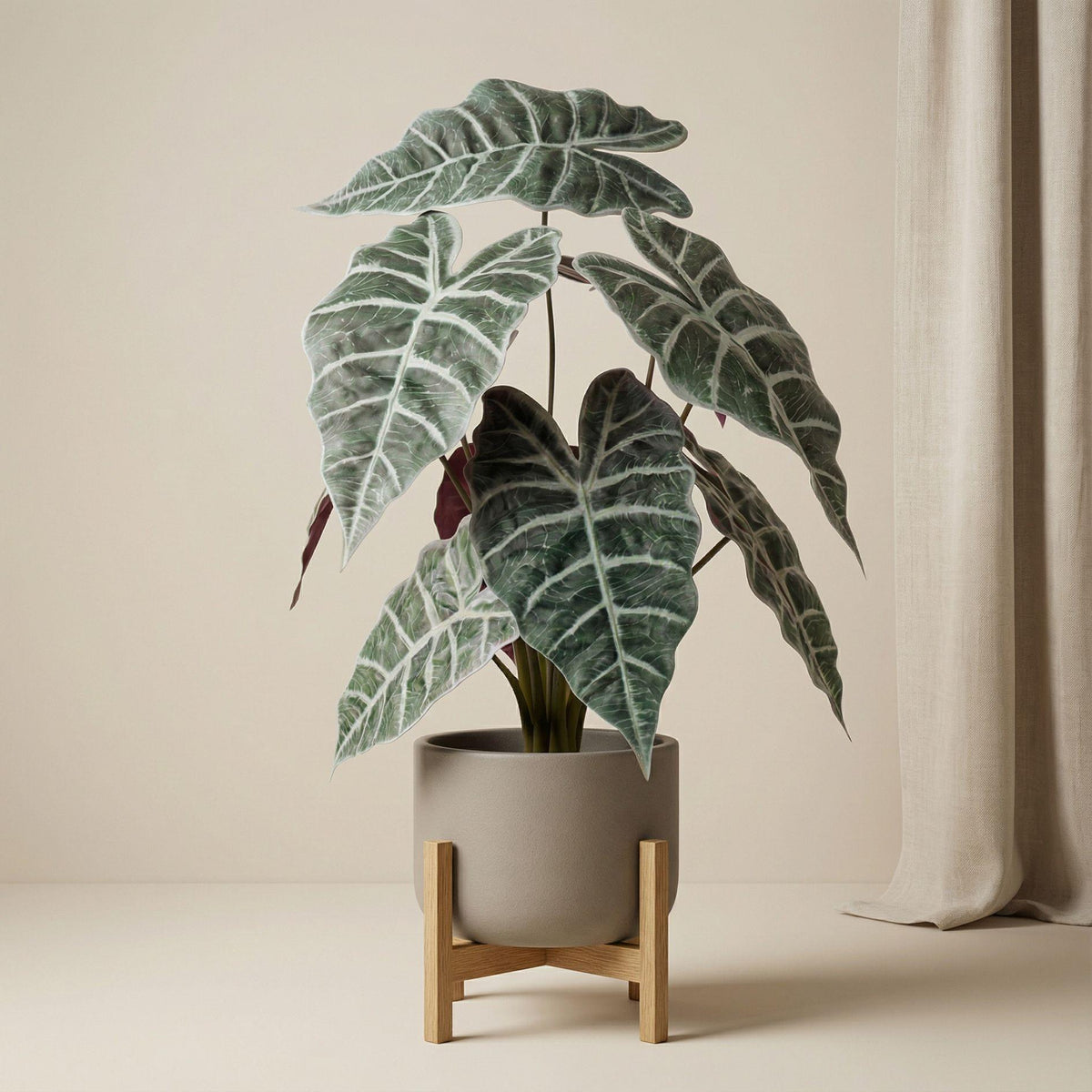Künstliche Alocasia im Innentopf – 40 cm