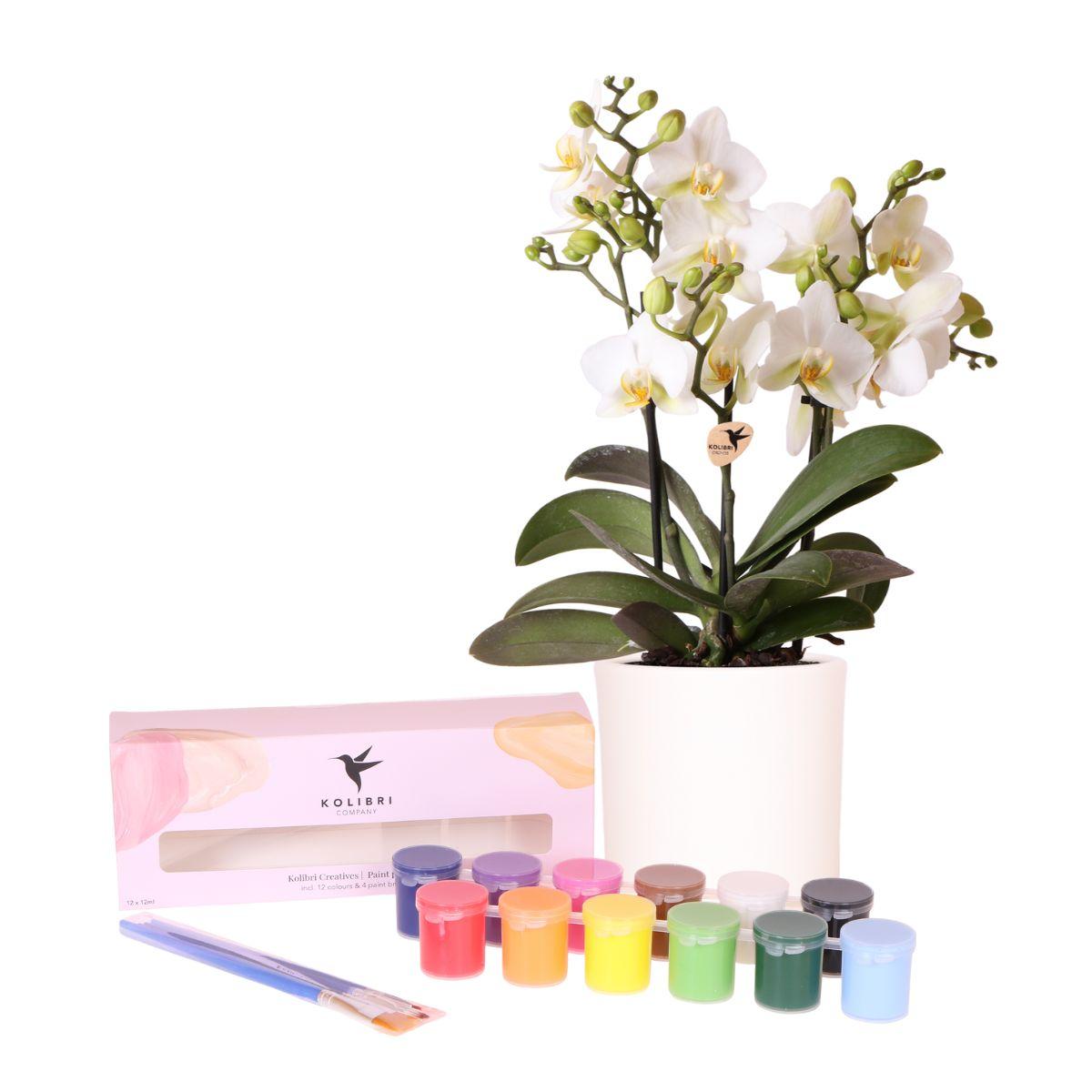 Creativi di Kolibri | Pacchetto di colori per dipingere 4 vasi di fiori + orchidee | per 4 persone | Artista esordiente