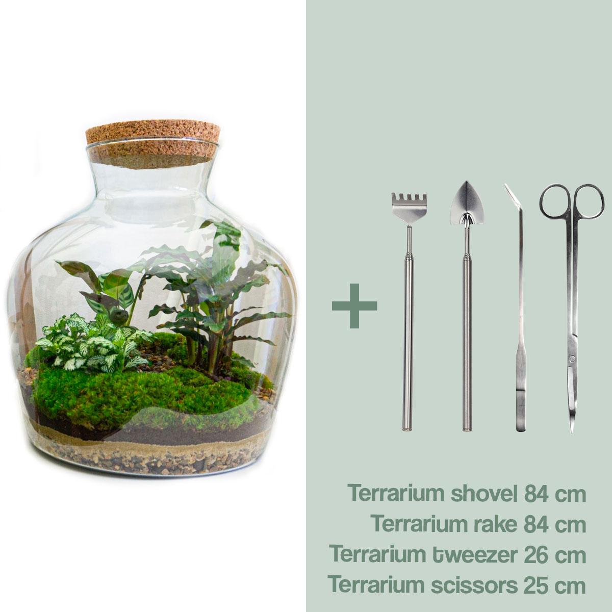 DIY Plant Terrarium with Light - Fat Joe - Ø 29 cm ↑ 30 cm - Rake + Shovel + Tweezer + Scissors