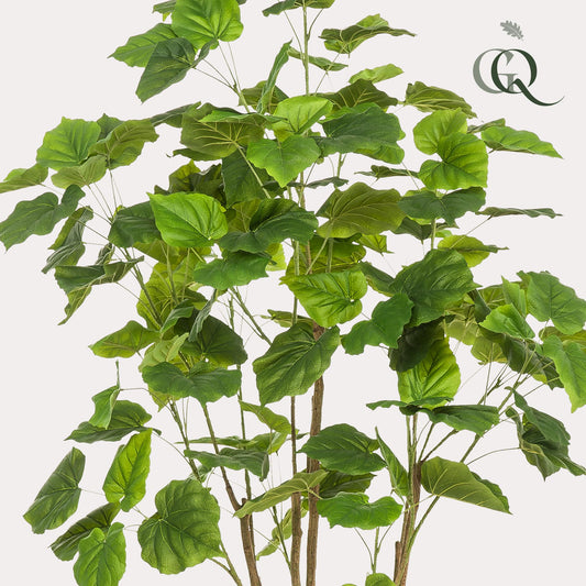 Pianta artificiale - Ficus umbellate - Fico africano - 180cm