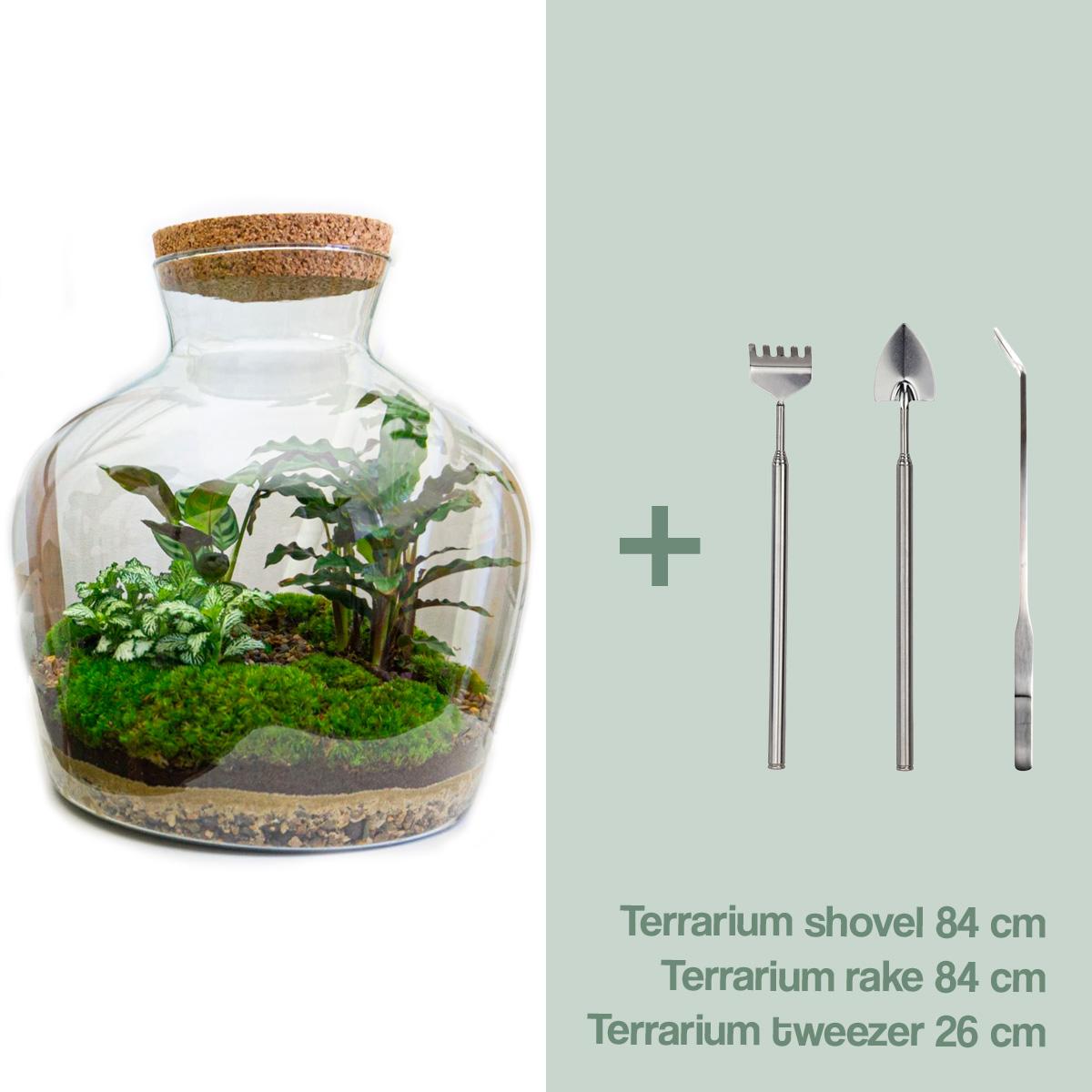 DIY Plant Terrarium with Light - Fat Joe - Ø 29 cm ↑ 30 cm - Rake + Shovel + Tweezer