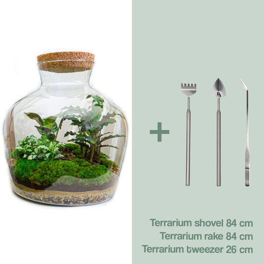 DIY Plant Terrarium with Light - Fat Joe - Ø 29 cm ↑ 30 cm - Rake + Shovel + Tweezer