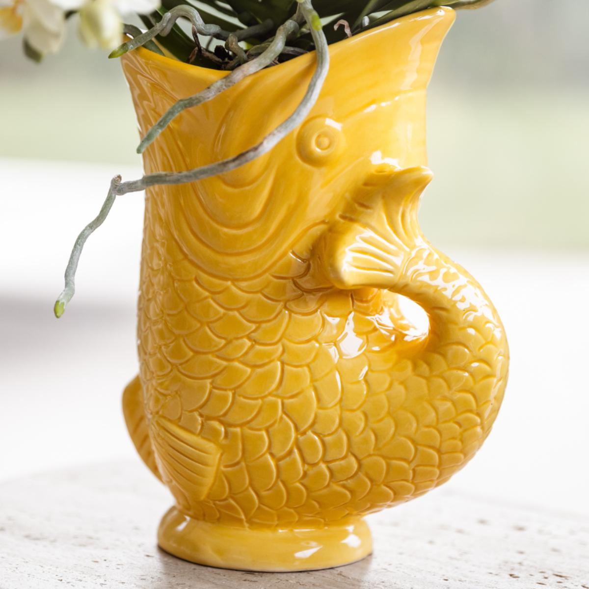 Compagnia di colibrì | Set regalo Tramonto Mediterraneo | Set di piante con orchidea Phalaenopsis Lausanne bianca e piante grasse, incl. vasi decorativi in ​​ceramica