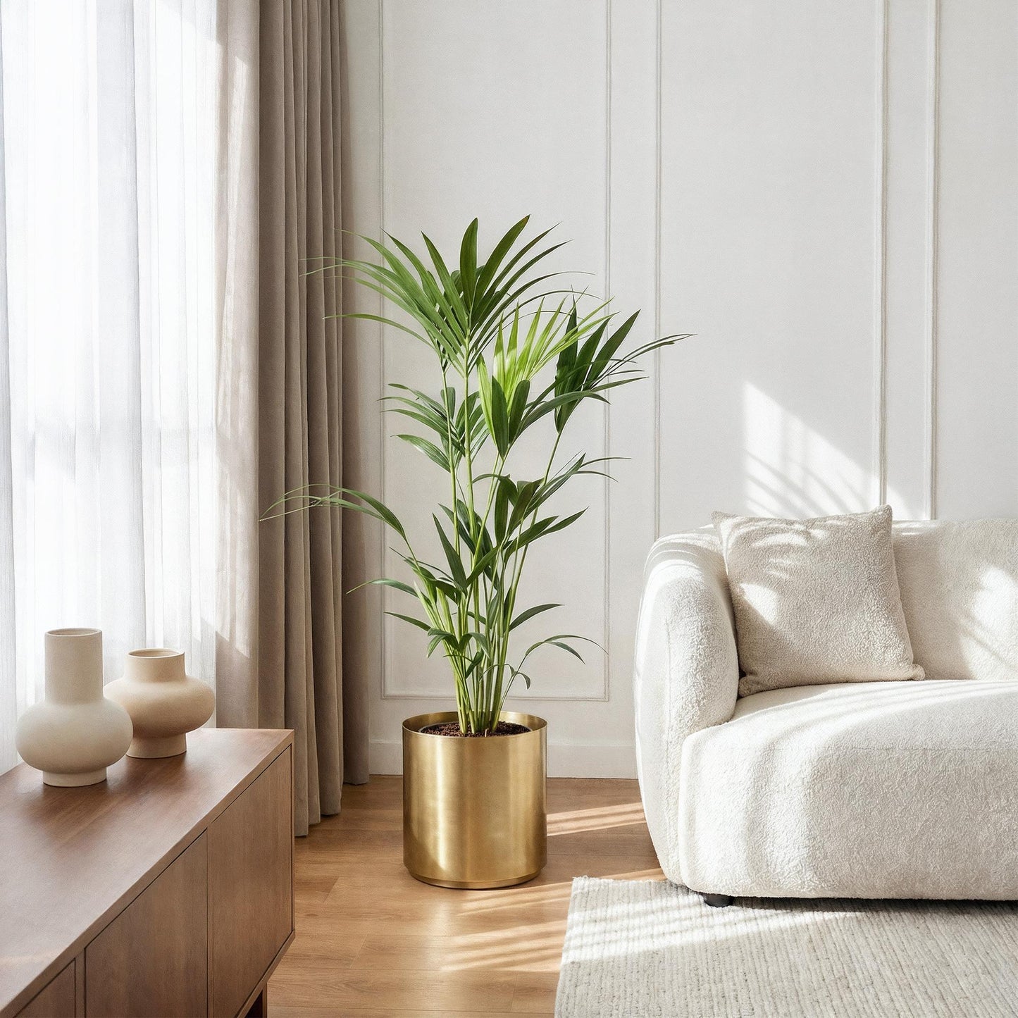 Green boutiQ - Houseplant - Howea Forsteriana - Kentia Palm - Low Maintenance - Green - 2 plants - Pot 21cm - Height 120-130cm