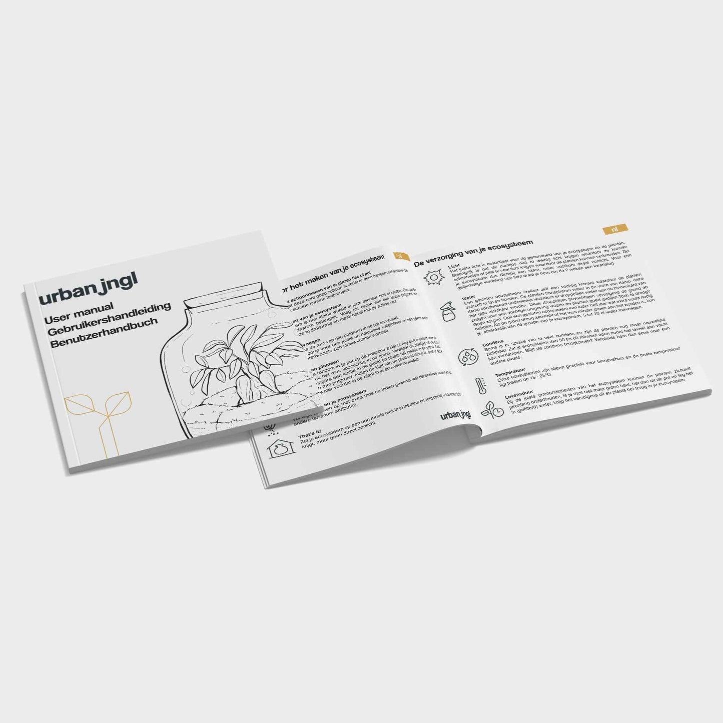 Plant terrarium refill &amp; starter pack - Calathea Lancifolia