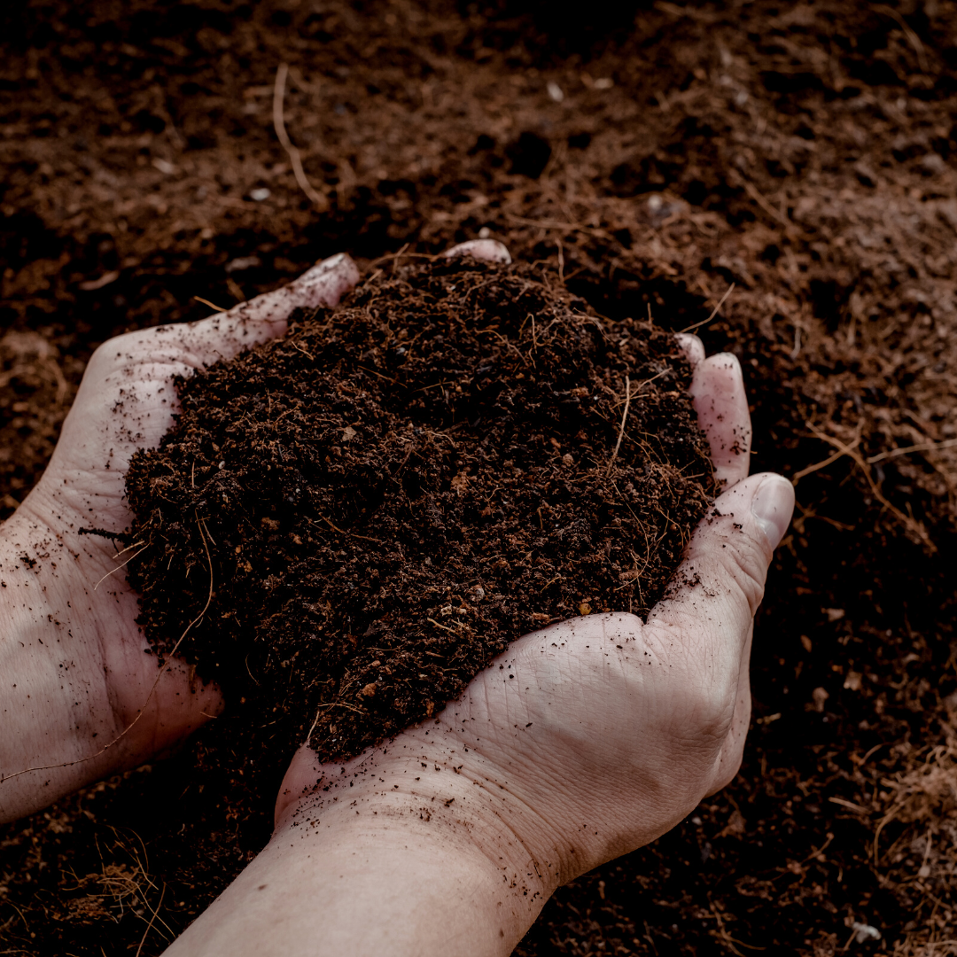 Universal Potting Soil 30 Liters – For Indoor and Outdoor Plants