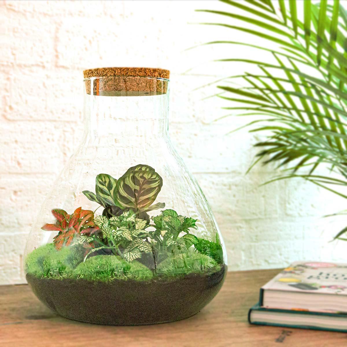 DIY Plant Terrarium with Light - Sam XL Red - Ø 30 cm ↑ 32 cm - Rake + Shovel + Tweezer + Scissors