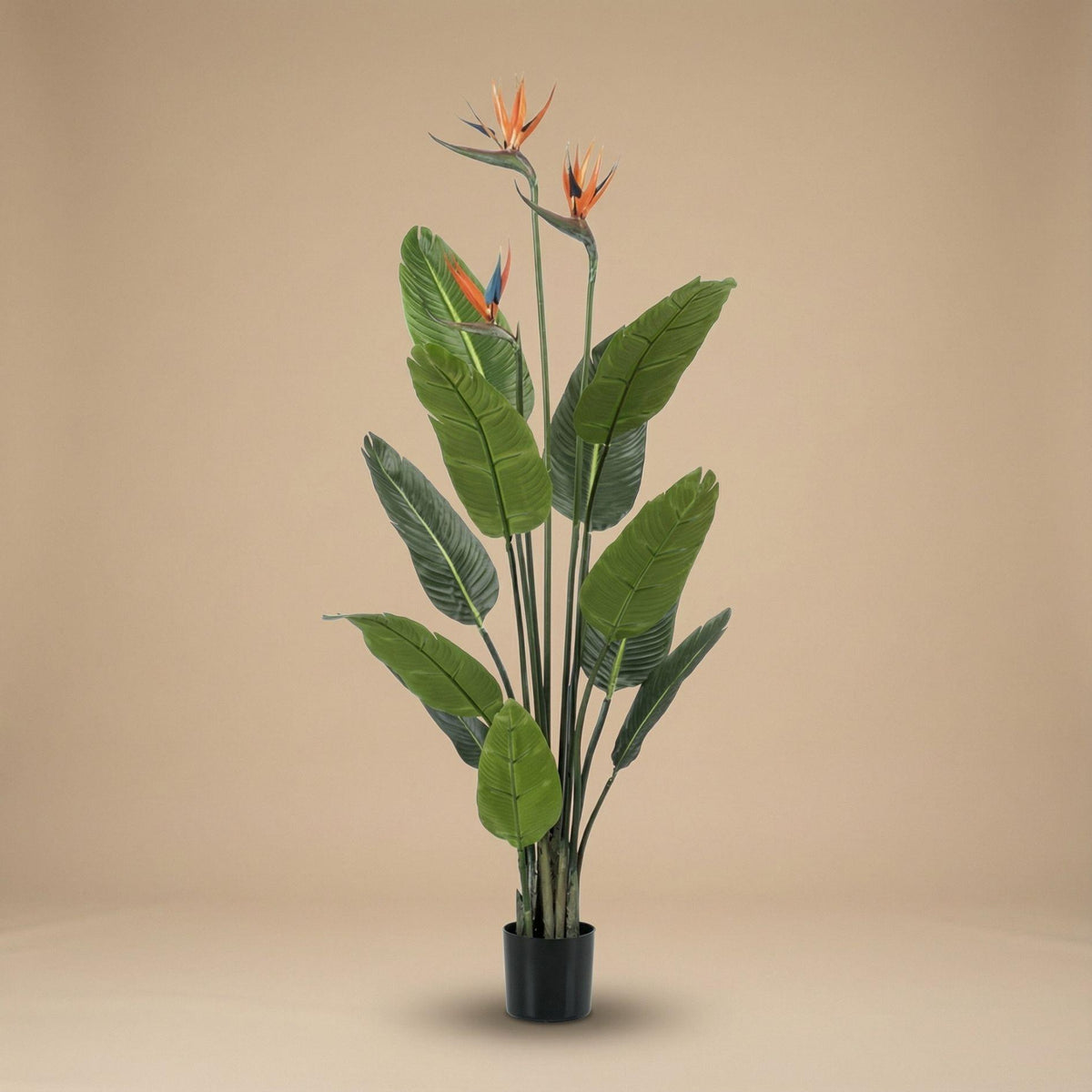 Strelitzia artificiel fleuri en pot noir – 120 cm