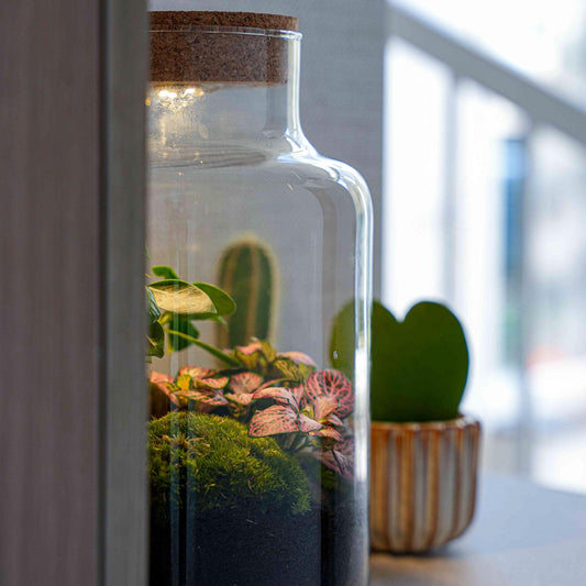 'LOVE MOM' terrarium Little Milky + gegraveerde kurk met licht - Fles terrarium DIY kit - Ø 17 cm ↑ 25 cm - Moederdag