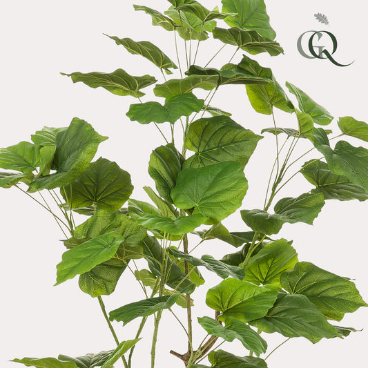 Pianta artificiale - Ficus umbellate - Fico africano - 125cm