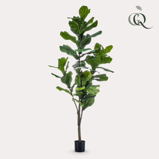 pianta artificiale - Ficus Lyrata - Pianta di tabacco - 150cm