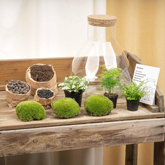Terrarium - Sam XL + LED - ↑ 32 cm - DIY
