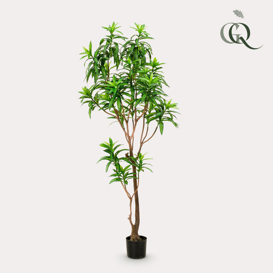 Pianta artificiale - Dracaena - Albero del drago - 190 cm