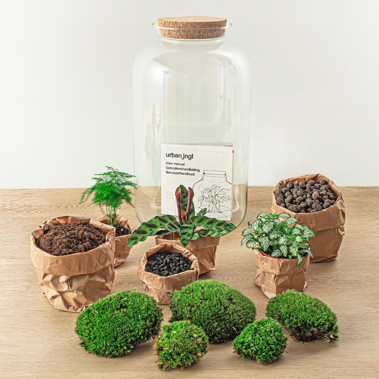 DIY Plant terrarium with light - Sven XL Botanical - Ø 23 cm ↑ 43 cm - Rake + Shovel + Tweezer + Scissors