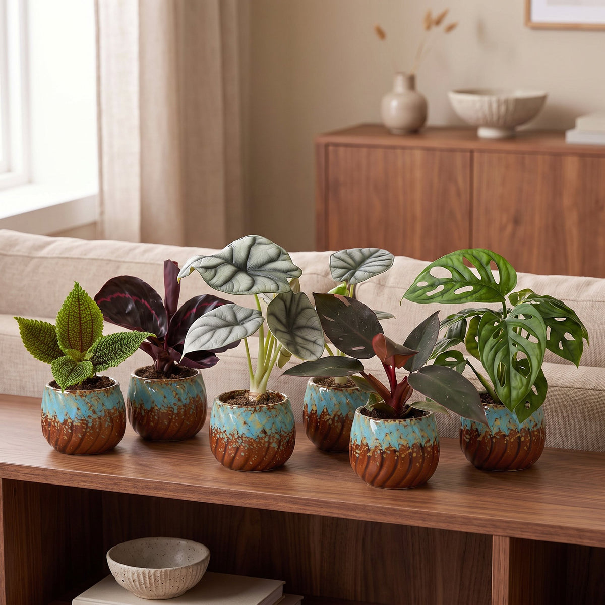 6x Baby Jungle Mix - Diversen - Tropisch - incl. Copper Reef - Ø6cm - ↕10-15cm