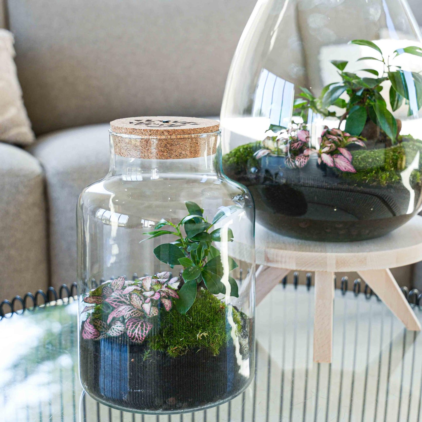 'LOVE MOM' terrarium Little Milky + gegraveerde kurk met licht - Fles terrarium DIY kit - Ø 17 cm ↑ 25 cm - Moederdag