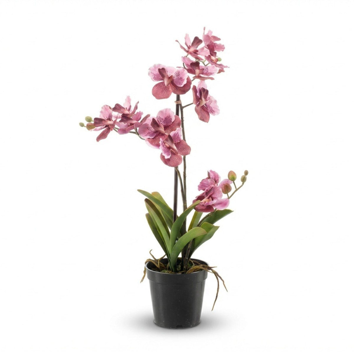 Orchidée Vanda artificielle vieux rose en pot – 60 cm
