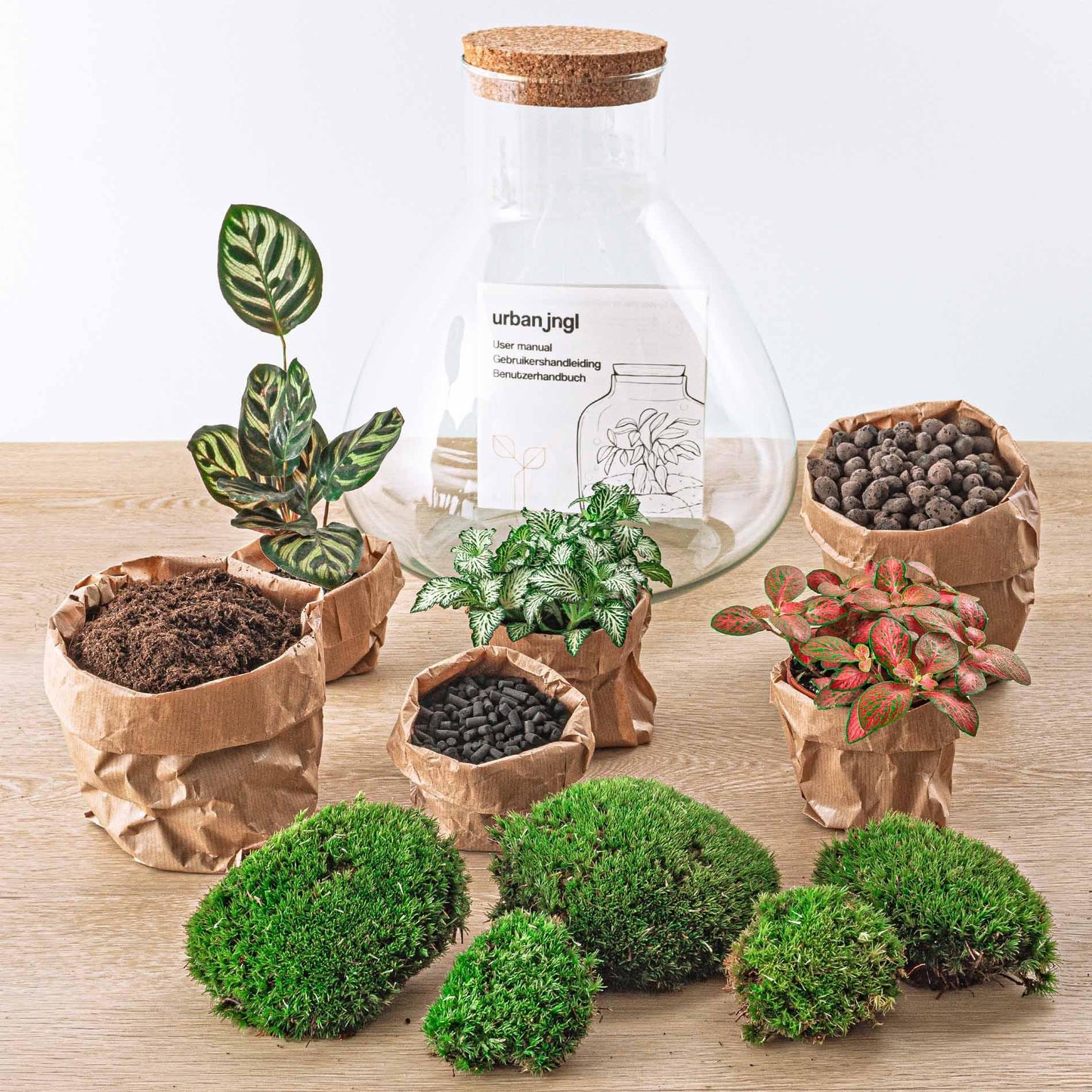 DIY Plant Terrarium with Light - Sam XL Red - Ø 30 cm ↑ 32 cm - Rake + Shovel + Tweezer + Scissors