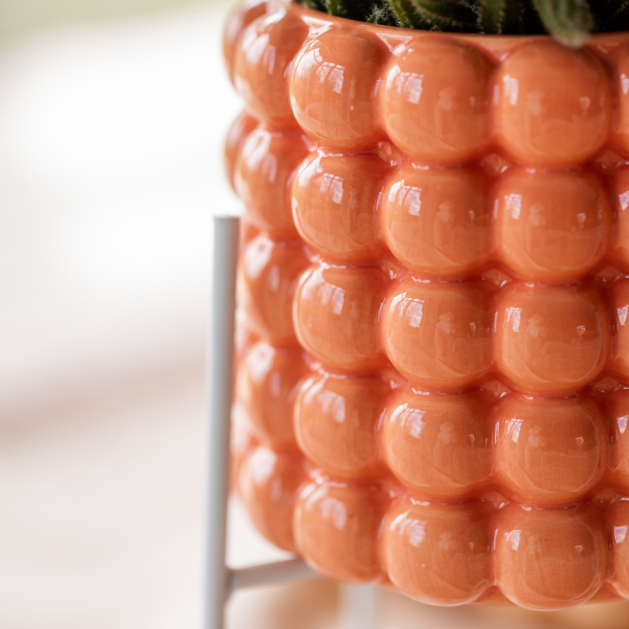 Kolibri Company | Plant Set Poppy Orange Orchids | Orange orchid Bolzano incl. ceramic decorative pots