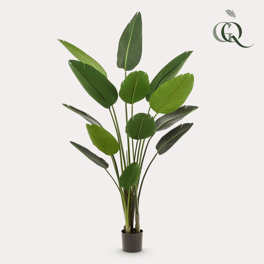 Artificial plant - Strelitzia Nicolai - Bird of Paradise flower - 190 cm