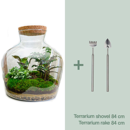 DIY Plant Terrarium with Light - Fat Joe - Ø 29 cm ↑ 30 cm - Rake + Shovel