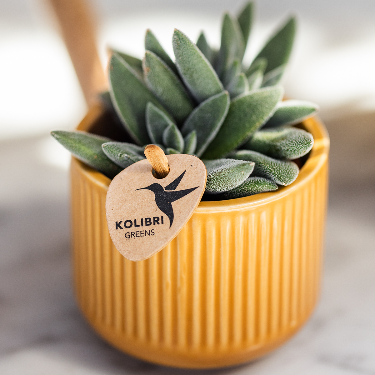 Hummingbird Home | Vaso decorativo Flare - Ocra - Ø6cm