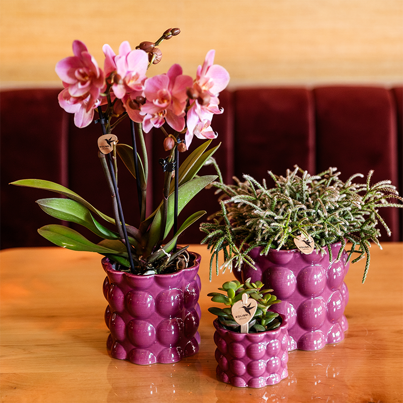 Hummingbird Home | Cotton Shine decorative pot - Purple - Ø12cm